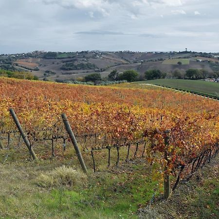 Agriturismo Al Rifugio Divino Belvedere Ostrense Dış mekan fotoğraf