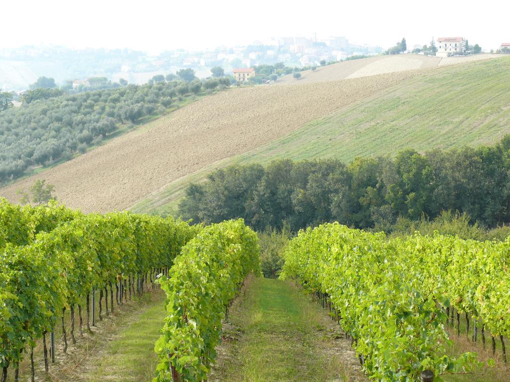 Agriturismo Al Rifugio Divino Belvedere Ostrense Dış mekan fotoğraf